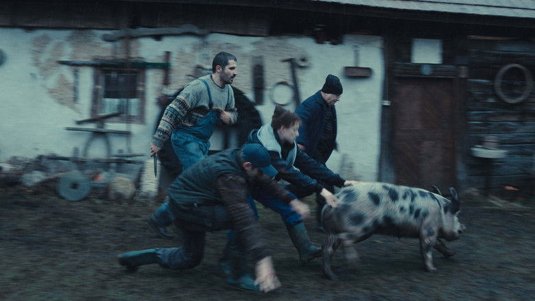 кадр из фильма МРТ