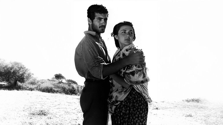 кадр из фильма Ak Altın