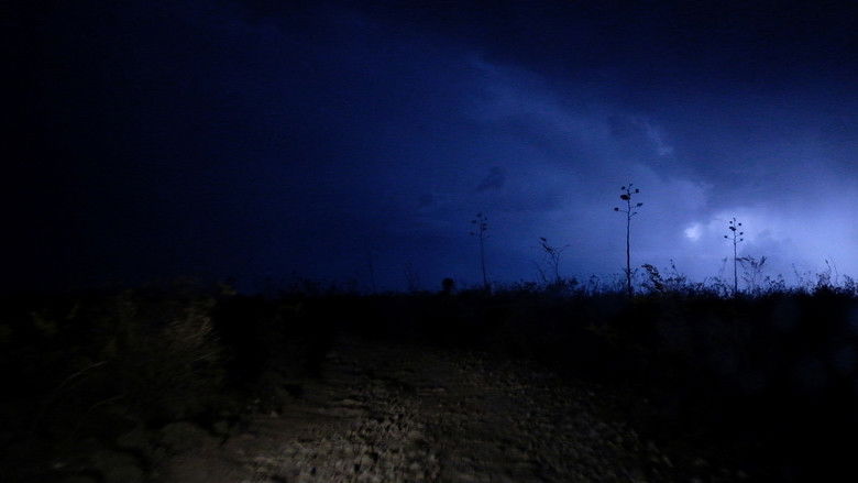 кадр из фильма Luces del desierto