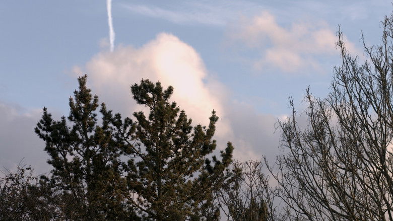 кадр из фильма Martin's Methods