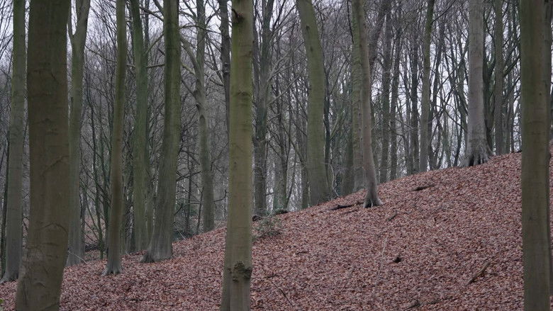 кадр из фильма #17 - To Finish The Barkley Marathons