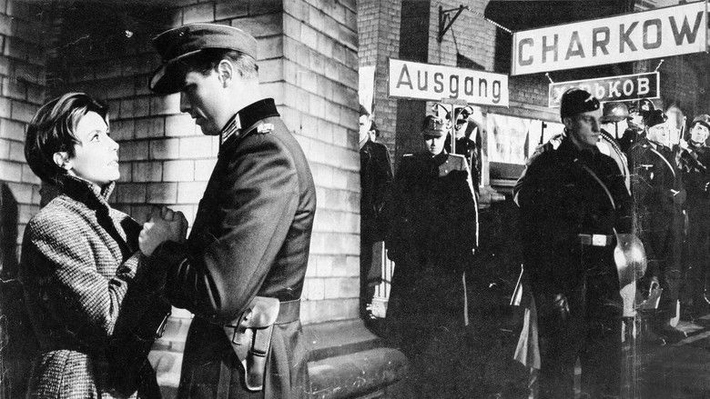 кадр из фильма Собаки, хотите жить вечно?