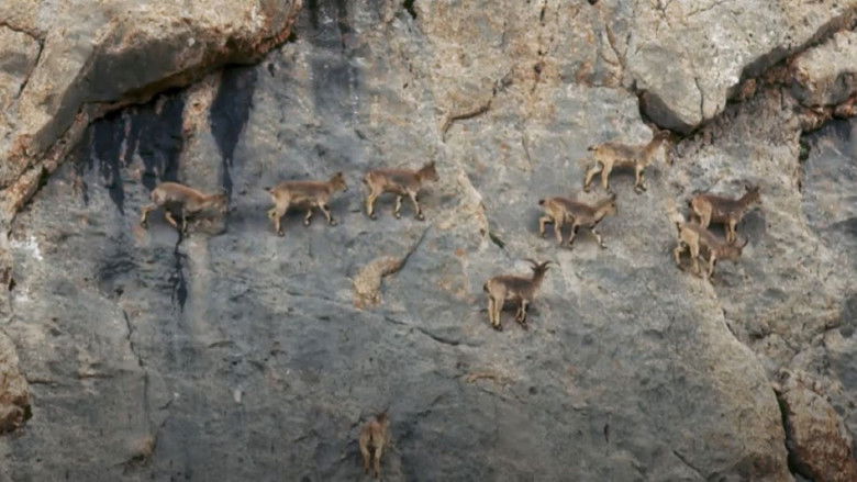 кадр из фильма Tibet: Roof of the World