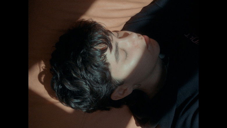 кадр из фильма Refugis de paper