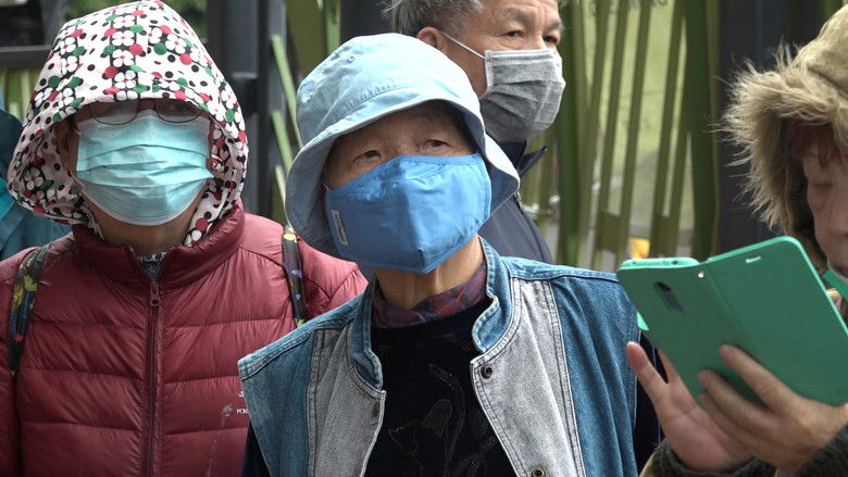 кадр из фильма 一罩難求