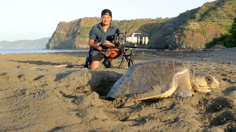 кадр из фильма Охота ягуара на побережье