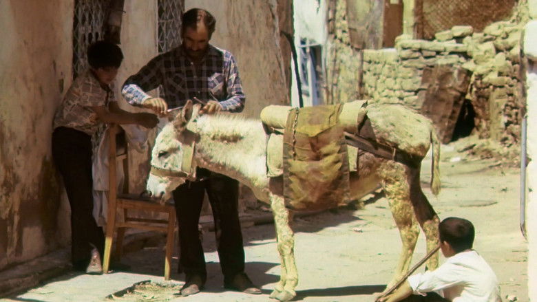 кадр из фильма Беженцы