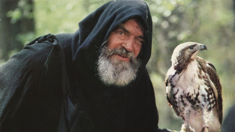 кадр из фильма The Norseman