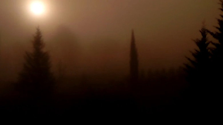 кадр из фильма Сухой лист