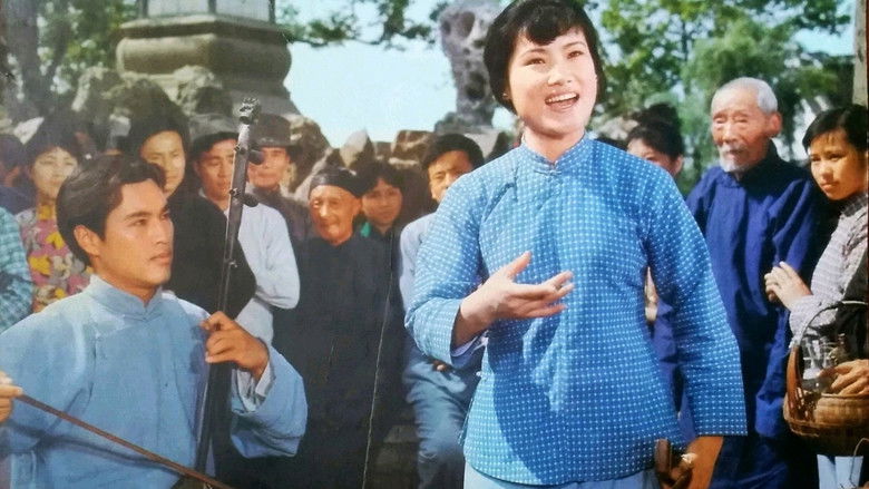 кадр из фильма 二泉映月