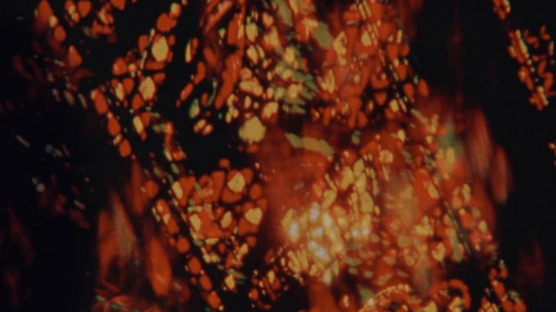 кадр из фильма Cathedral