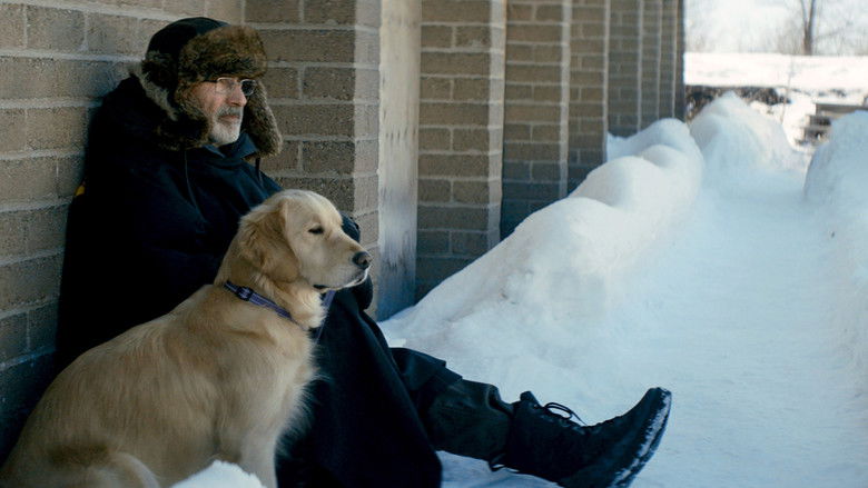 кадр из фильма La Nouvelle Vie de Paul Sneijder