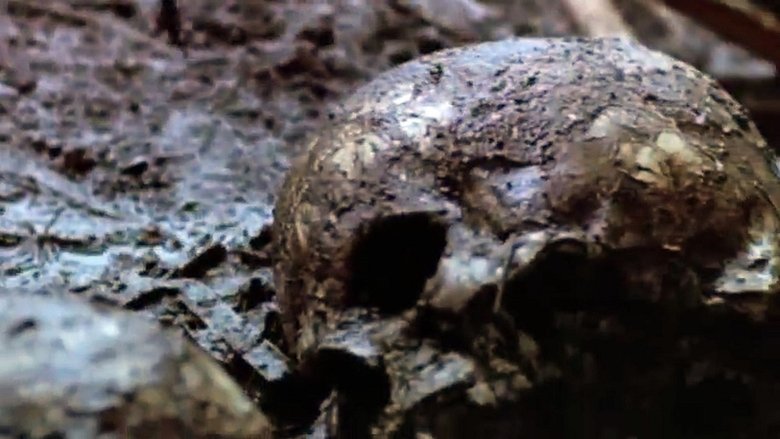 Убийство на реке Грин