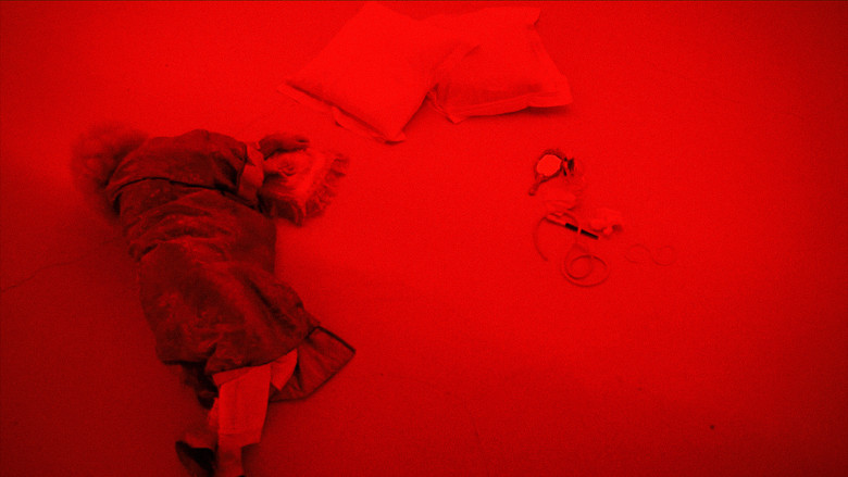 кадр из фильма Roi Soleil