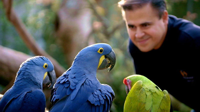 кадр из фильма Спасти планету