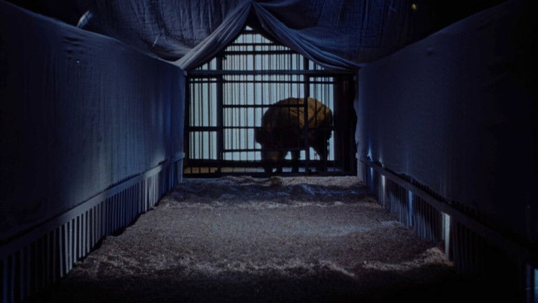 кадр из фильма Гонгофер