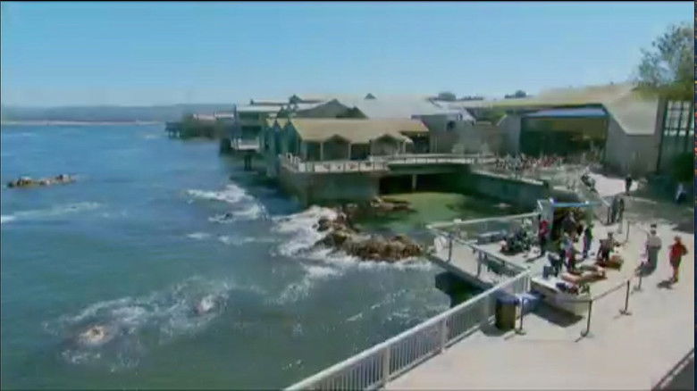 кадр из фильма Oceans in Glass