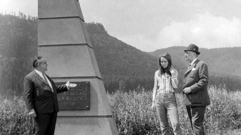 кадр из фильма Последний свидетель