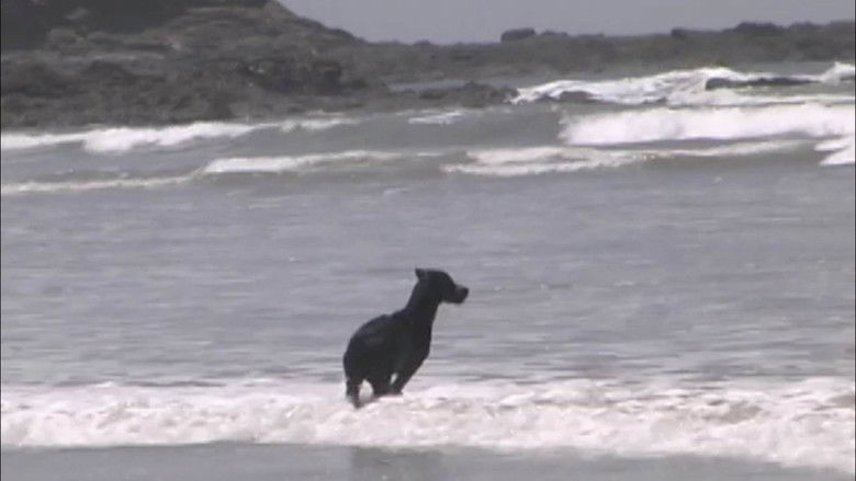 кадр из фильма Suicide