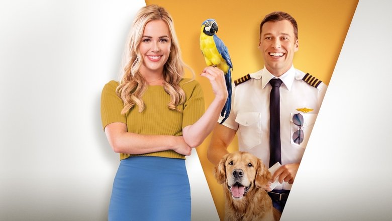 кадр из фильма Давай улетим вместе