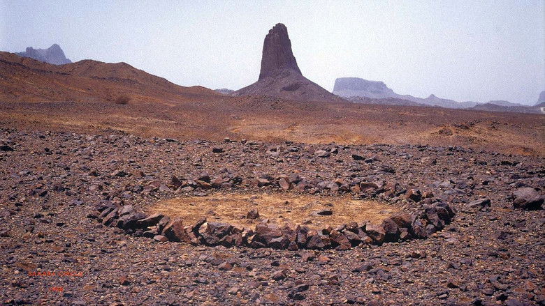кадр из фильма Stones and Flies: Richard Long in the Sahara