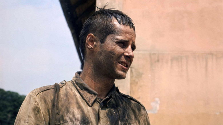 кадр из фильма Olimpiada 40