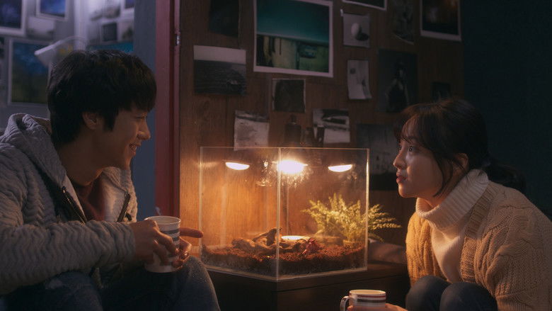 кадр из фильма 메이트