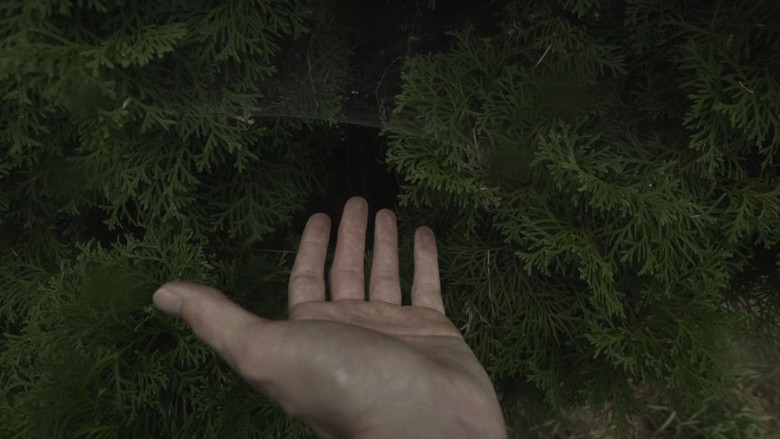 кадр из фильма las-líneas-de-mi-mano