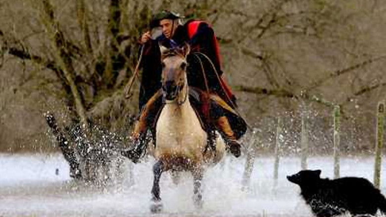 кадр из фильма Bravos valentes: Vaqueiros do Brasil
