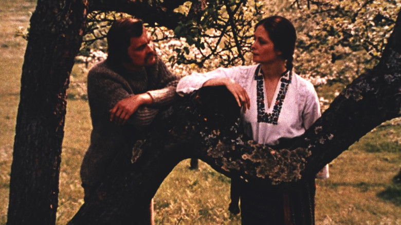 кадр из фильма Такая поздняя, такая тёплая осень