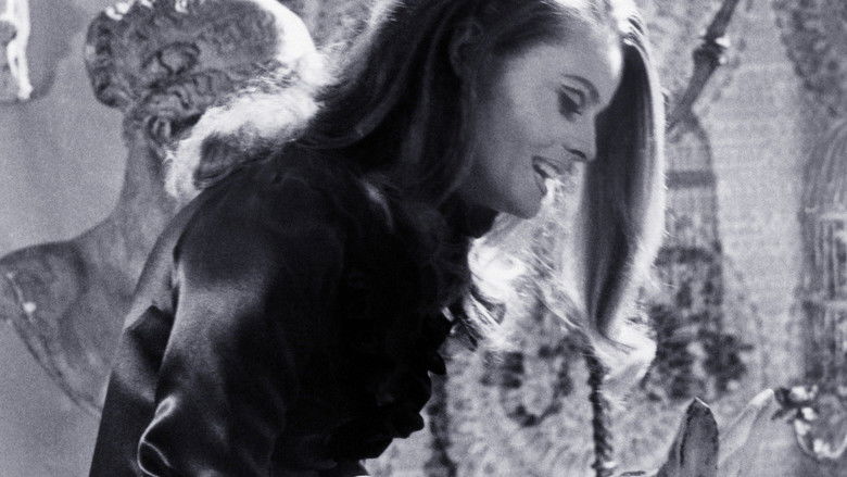 кадр из фильма The Smashing Bird I Used to Know