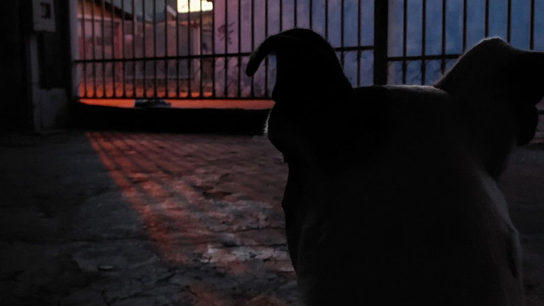 кадр из фильма Thor