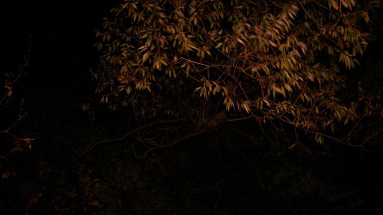 кадр из фильма Ephialtes