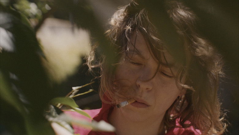 кадр из фильма La belle année