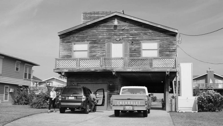 кадр из фильма Mustang Island