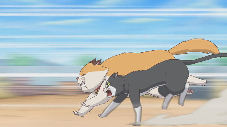 кадр из фильма 달려라 고양이