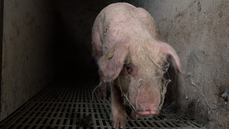 кадр из фильма Food for Profit