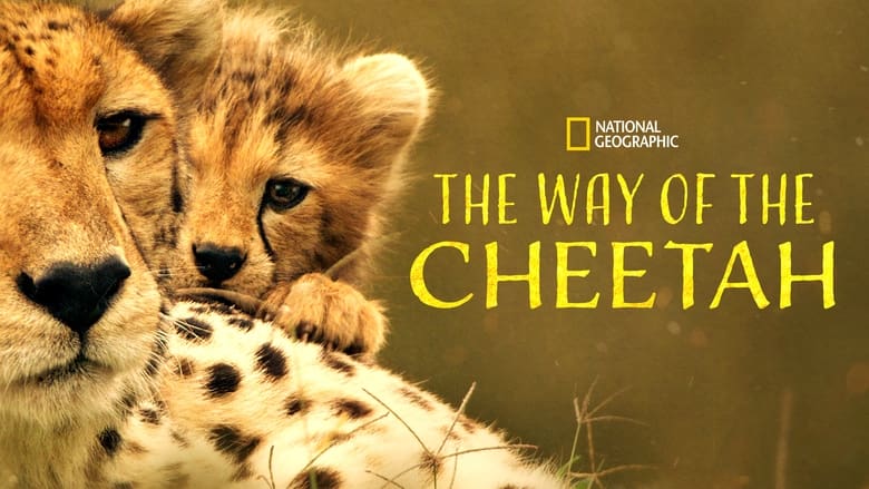 кадр из фильма The Way of the Cheetah