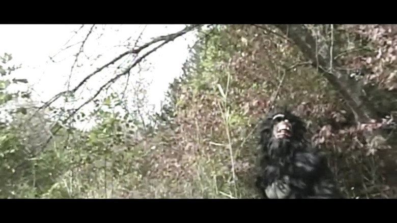 Bigfoot Creek