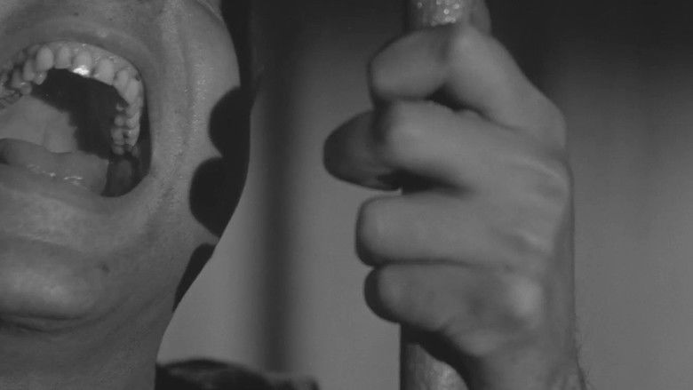 кадр из фильма La primera mirada: historia de una escuela de cine