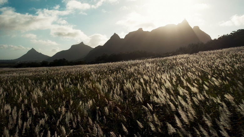 кадр из фильма L’Offrande d’une vie