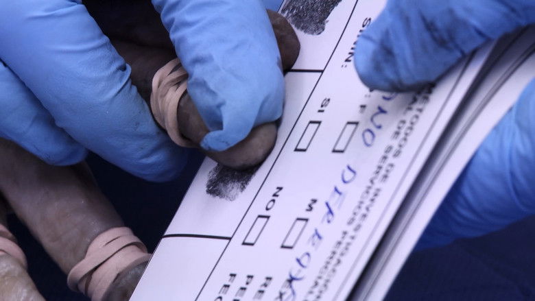 кадр из фильма Exhumados