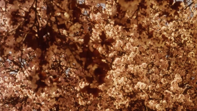 кадр из фильма Lamentations