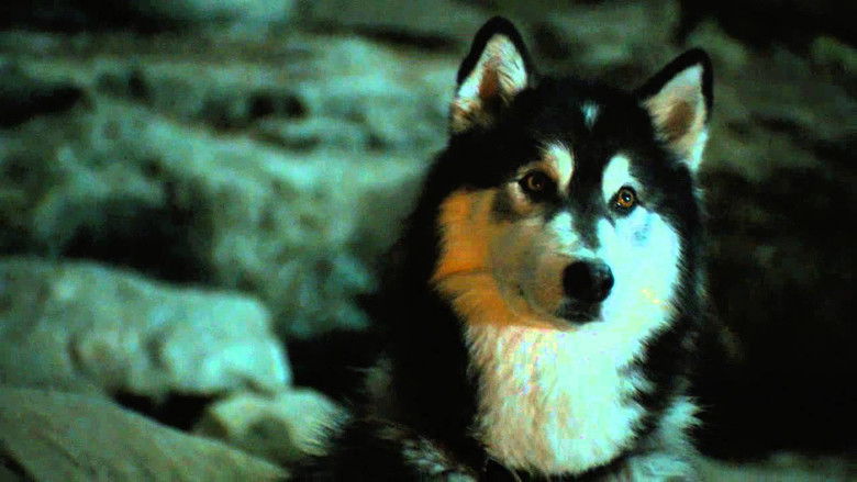 кадр из фильма Против природы 2: Выжить в Серенгети