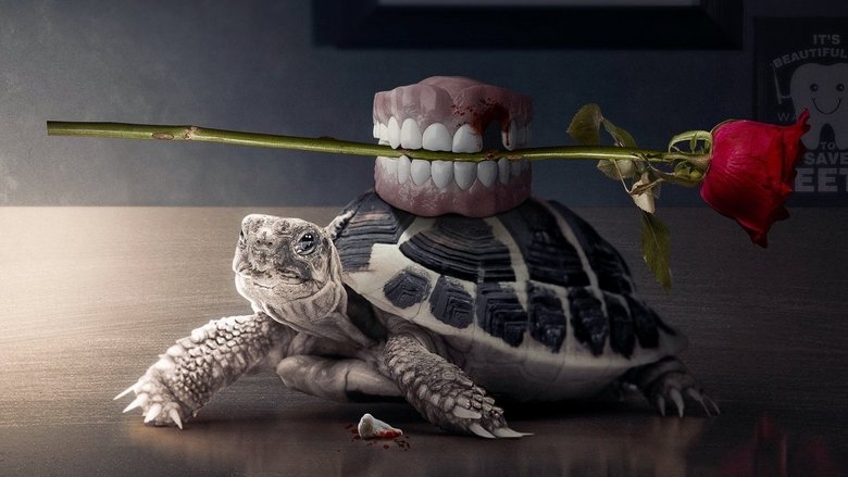 кадр из фильма Фредди