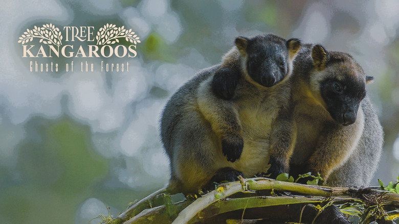 кадр из фильма Tree Kangaroos: Ghosts of the Forest