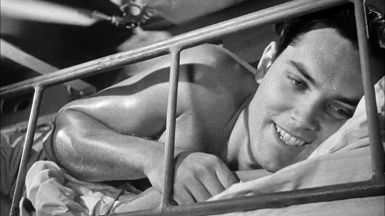 кадр из фильма Sailor of the King