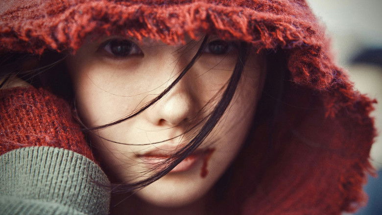 кадр из фильма 想飞的女孩