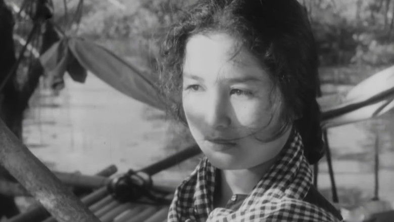 кадр из фильма Женщина с южного берега