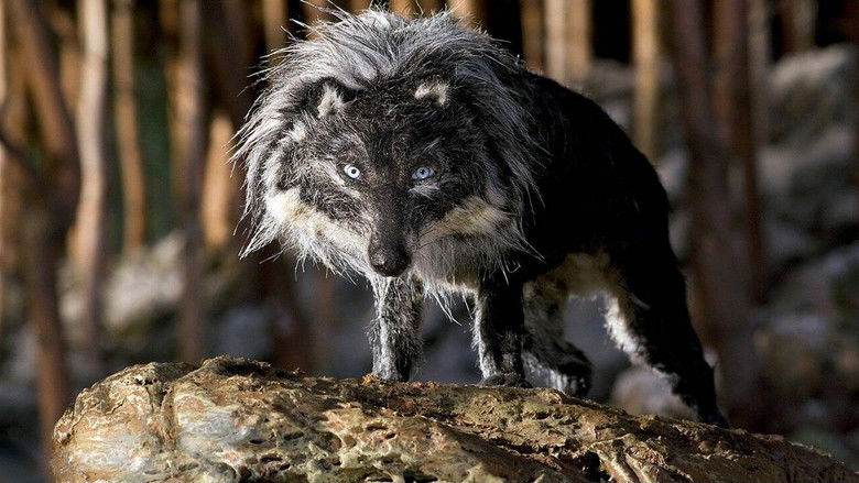 кадр из фильма Петя и волк